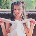 뉴진스 하니 토끼 <b>닮음</b>