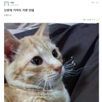 남친 ㅈㄴ 정떨어짐 여돌 보고 허벅지 얘기함