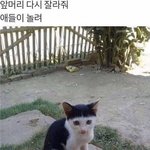 [NCT칠프] 오늘 <b>태일</b>이 이거 같음