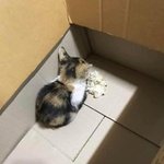 [19] 고3들아 궁금한거 잇음