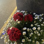 [댓글부탁해] 전남친 때문에 외모<b>자존</b>감 개낮아졌는데