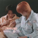 [NCT칠프] <b>타이니</b>춤ㅋㅋㅋㅋㅋ