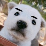 [엔하이픈] 하 탐라에서 이거 보고 <b>한참</b> 웃음