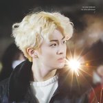 [NCT칠프] <b>라면</b>맠