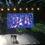 [NCT칠프] <b>애정</b>해