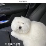 [댓글부탁해] 소중한 사람을 위해서