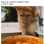 [ㅈㄱㄴ] 완전 촌스런 이름 추천좀