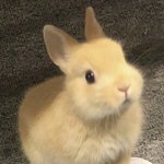 장애인 <b>남동</b>충때문에 ㅈㄴ 힘들다