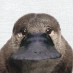 <b>버튜</b>버 좋아하는거 진짜 기괴하다 ㅆ1발…