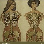 [19] 이거 보고 코르셋 살지<b>말지</b> 고민됨