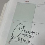 [댓글부탁해] 야 이거 미친 거 아님?