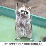 경희대 합격 <b>기원</b> 6일차