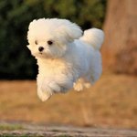 슴하난데 아직도 중딩 <b>일진</b>처럼