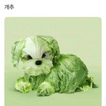 [드루와] 나 알바 때려치고싶어
