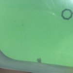 안경케이스로 벌레<b>잡음</b>