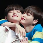 크래비티 춤짱 강아지..