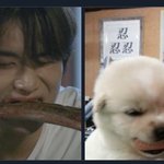[NCT칠프] 으<b>겨</b>갸갸걍