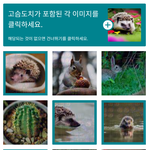 [NCT드림] <b>처음</b>보는거 나왔다