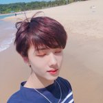 [NCT드림] <b>체리</b>지성 한국도 보여줘ㅠ