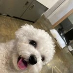 [NCT드림] 아빵! 생일 추카해영~