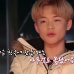 [NCT드림] 사랑으로 가득 찬 외계인고양이