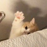 [드루와] 아가슴진짜커지고십다