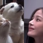 뉴진스 <b>민지</b> 닮은 동물