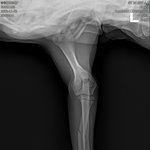 [이것좀봐줘] 무책임한 애견카페와 <b>견주</b>