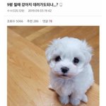 231->332 어<b>카</b>냐