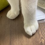 헉헉 <b>발이</b> 너무 예뻐요