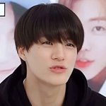 [NCT드림] 이번자<b>컨</b> 특히나 므엉강쥐같아서 진짜 웃기가 귀여움