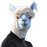 나 메가패스 있는데 <b>대성</b>이랑 공유할사람 ㅠ