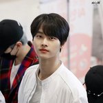 무용으로 다진 <b>춤선</b> 대표 남돌