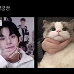[NCT칠프] 도냥궁<b>빵</b>