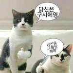 판 <b>정화</b> 운동 ㄱㄱ