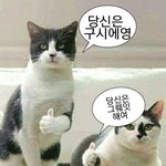 [드루와] 오늘 개잘했음