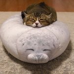 [드루와] 전남친이