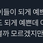 [NCT드림] 드림이들 레전드