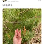 [19] 대학 다떨어지니까 살기싫음 ㅋㅌㅋ