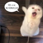 <b>코쉐딩</b> 보정으로 어케 없애..?