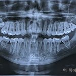 [댓글부탁해] <b>일상</b> <b>속</b> 보기 드문 광경