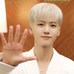 [NCT드림] 재민이 손 진짜 <b>두툼</b>캣아니니