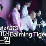 [방탄소년단] 더브유 코리아에서 이런 좋은 영상을...