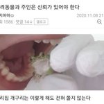 [댓글부탁해] 살 찌는 법 좀 알려줘ㅠㅠ