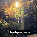 [NCT칠프] 툥 스토리 지금 봤는데 왕<b>귀네</b>ㅜㅋ