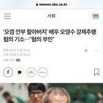 오징어게임 깐부할배 <b>추행혐의</b>로 기소됨