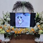 주인 목숨 구했던 '<b>복순</b>이', 치료비 아까워 보신탕집에 넘긴 견주...