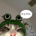 <b>동국</b>대가고 1억받기 vs 서울대가고 2억뺏기기