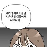 식단 해보고 싶은데