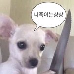 [조언부탁해] 기분 나쁠 만한 건지 좀 봐주라